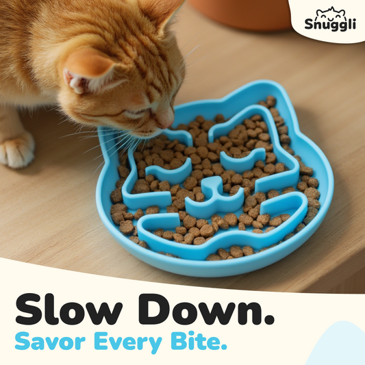Snuggli Slow Feeder Cat Bowl - Lagoon