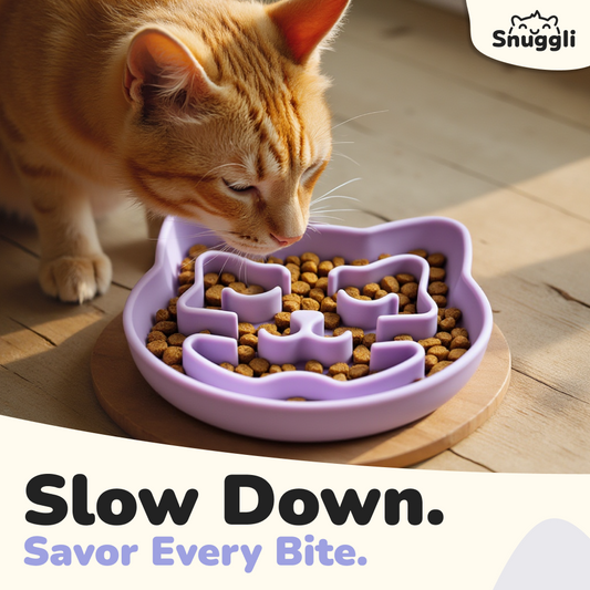 Snuggli Slow Feeder Cat Bowl - Lavender