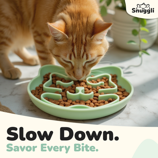 Snuggli Slow Feeder Cat Bowl - Matcha