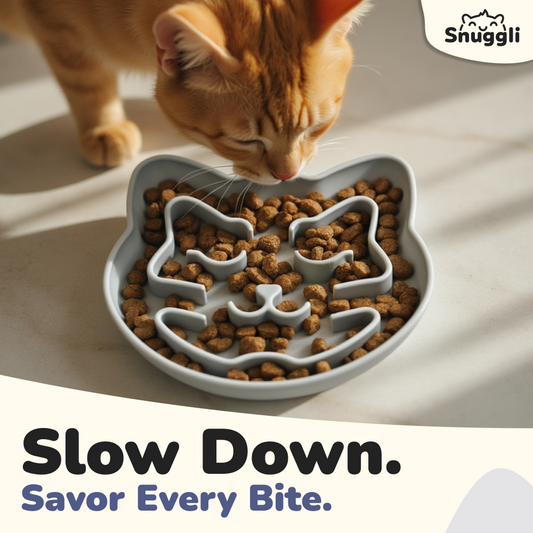 Snuggli Slow Feeder Cat Bowl - Slate
