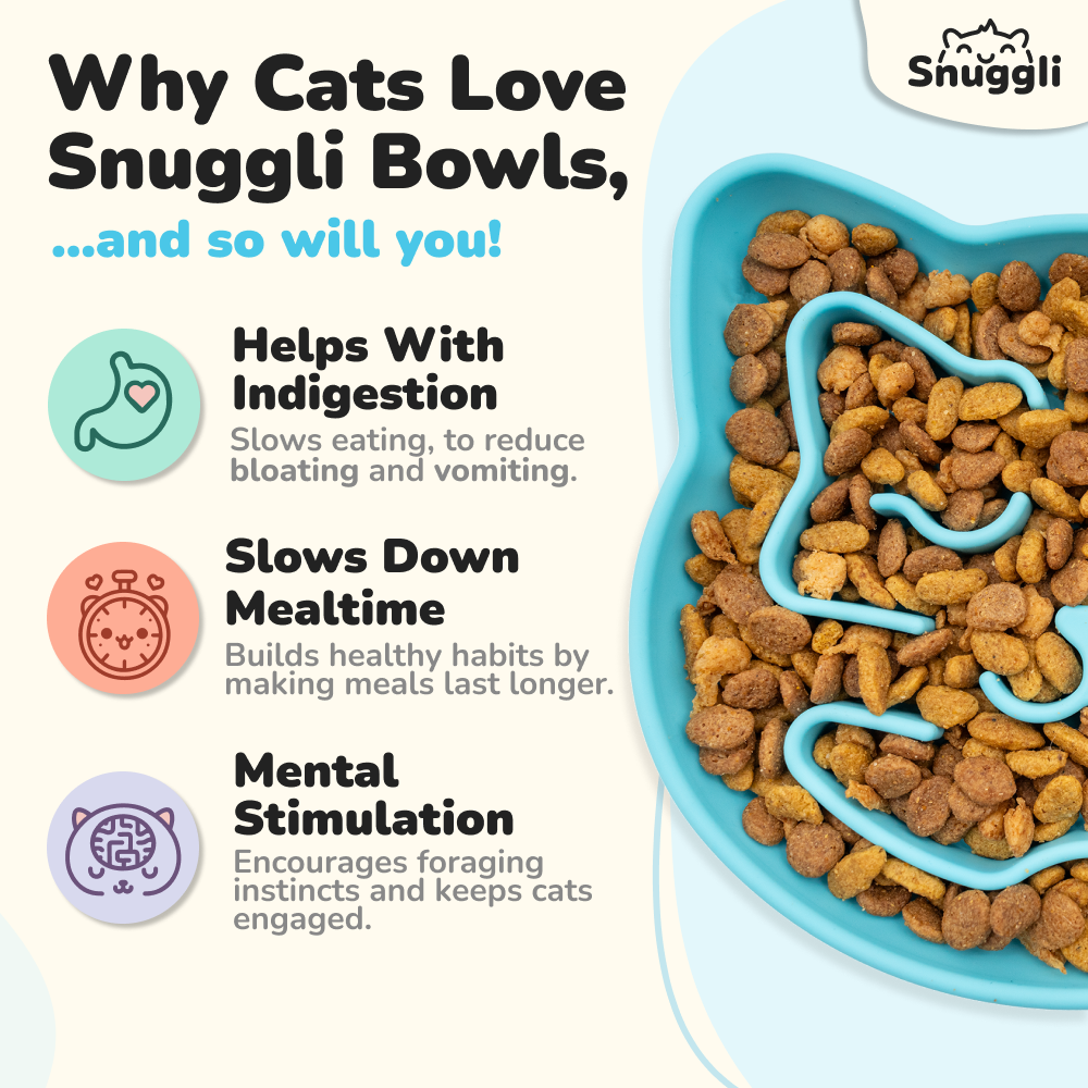 Snuggli Slow Feeder Bowl - Lagoon