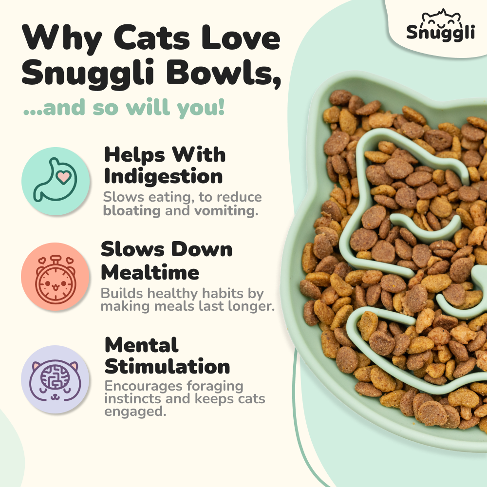 Snuggli Slow Feeder Bowl - Matcha