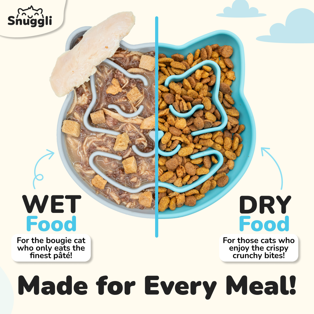Snuggli Slow Feeder Bowl - Lagoon