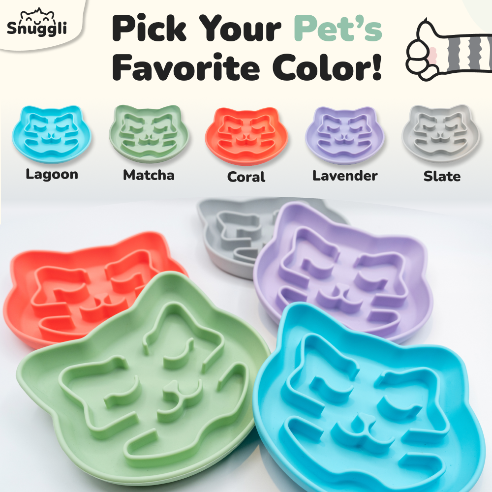 Snuggli Slow Feeder Bowl - Matcha
