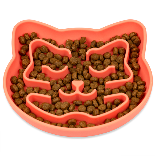 Snuggli Slow Feeder Bowl - Coral