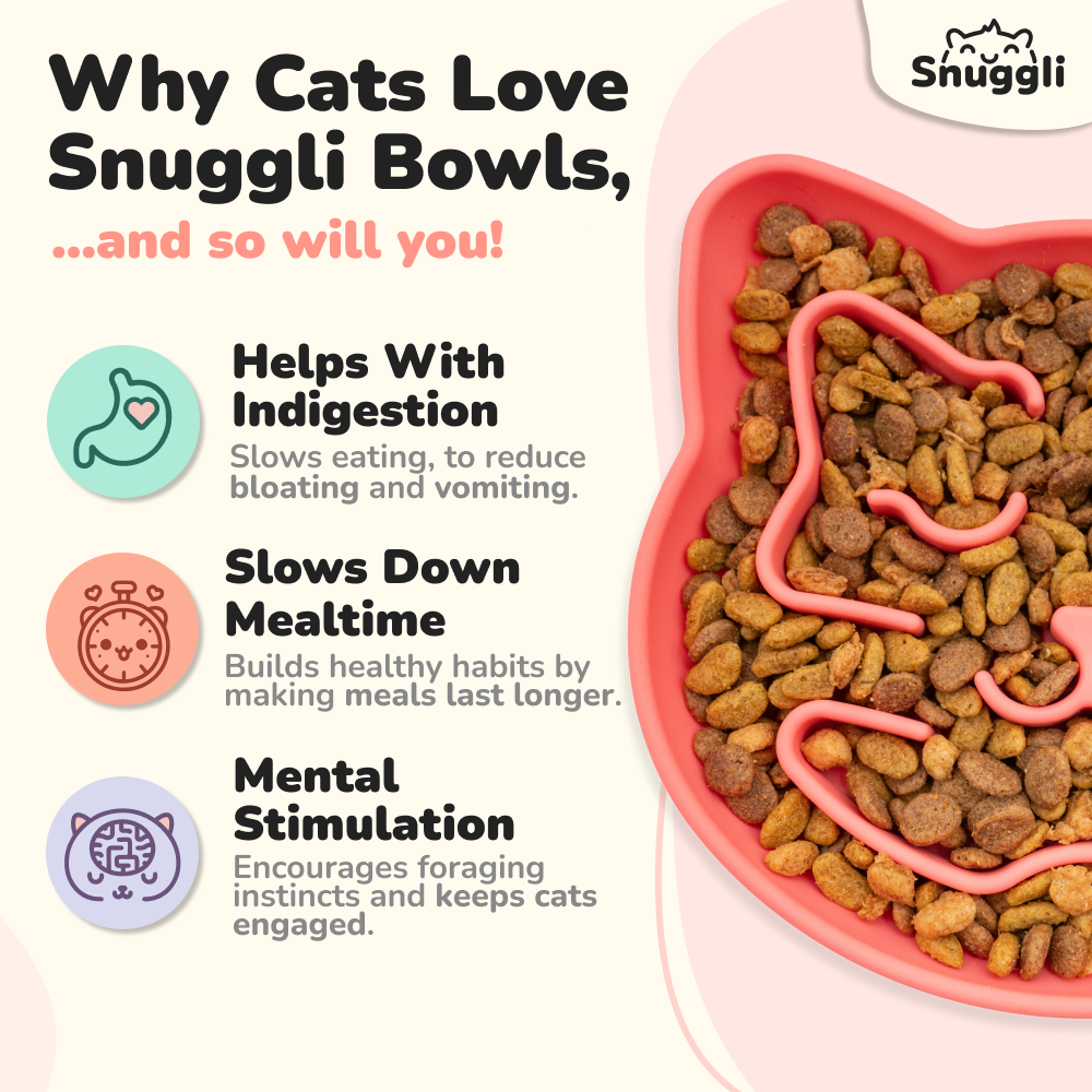 Snuggli Slow Feeder Bowl - Coral