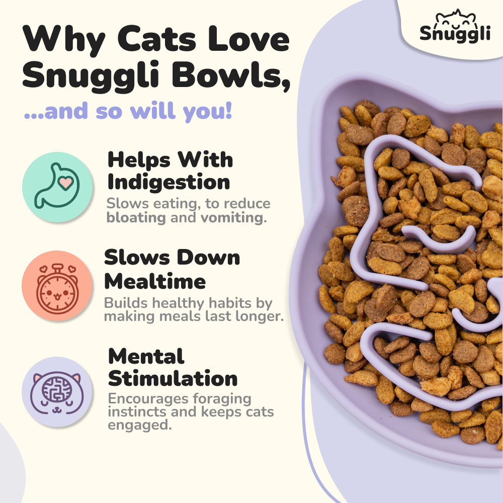 Snuggli Slow Feeder Bowl - Lavender