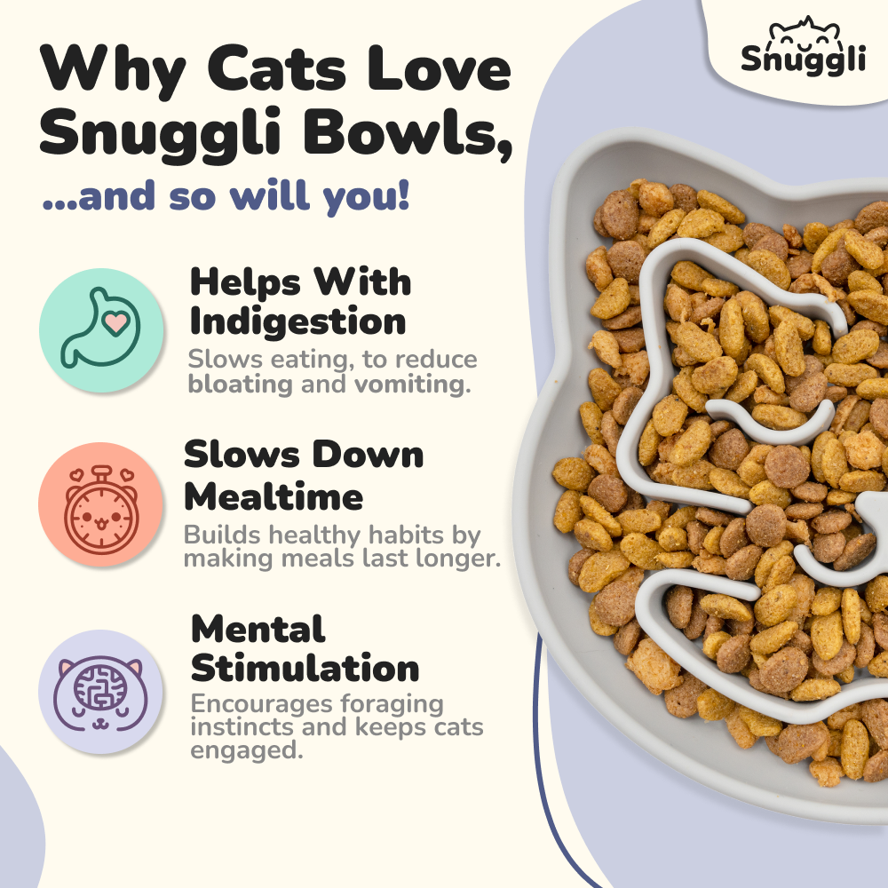 Snuggli Slow Feeder Bowl - Slate